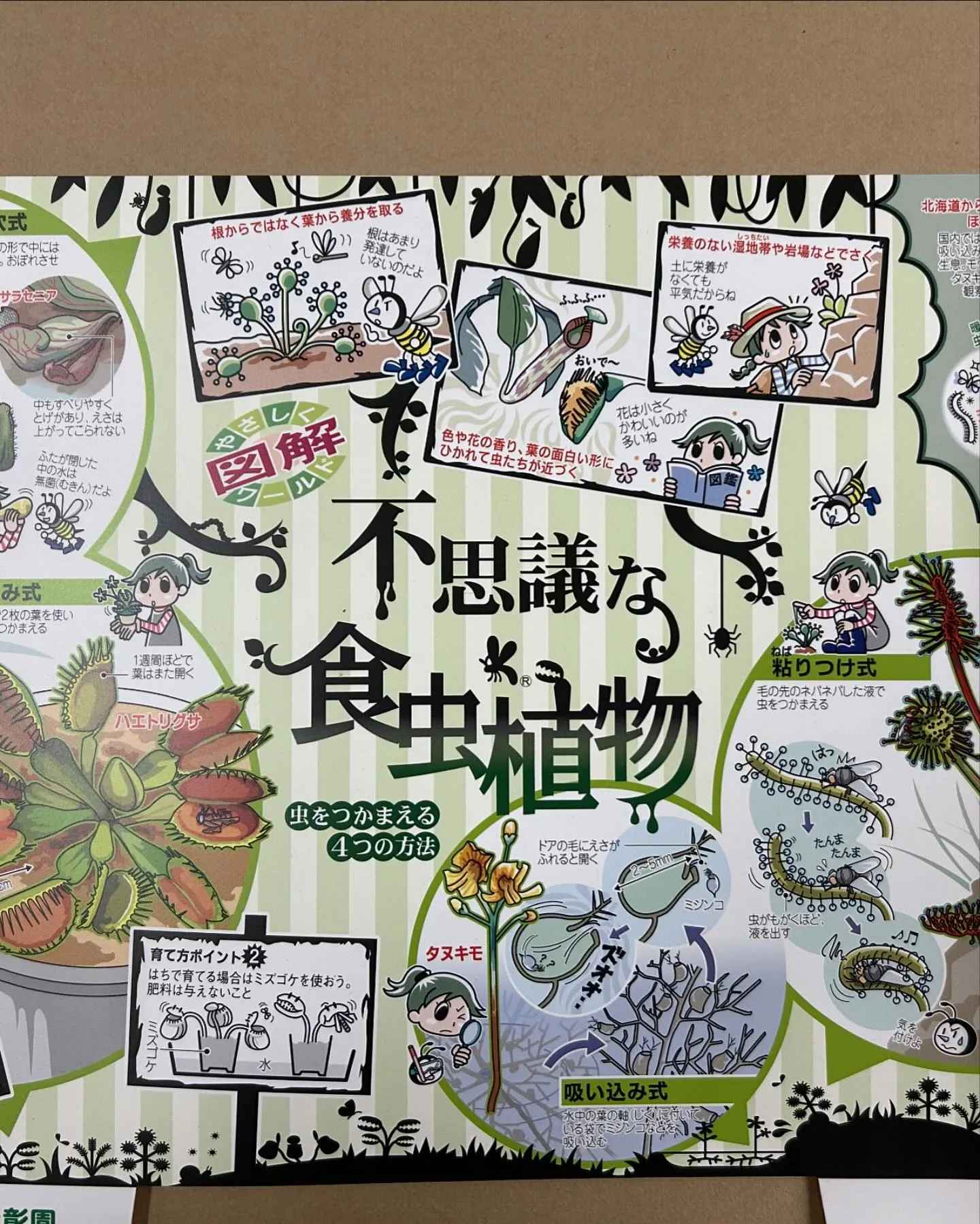 『花ichiba水道筋本店』です😊