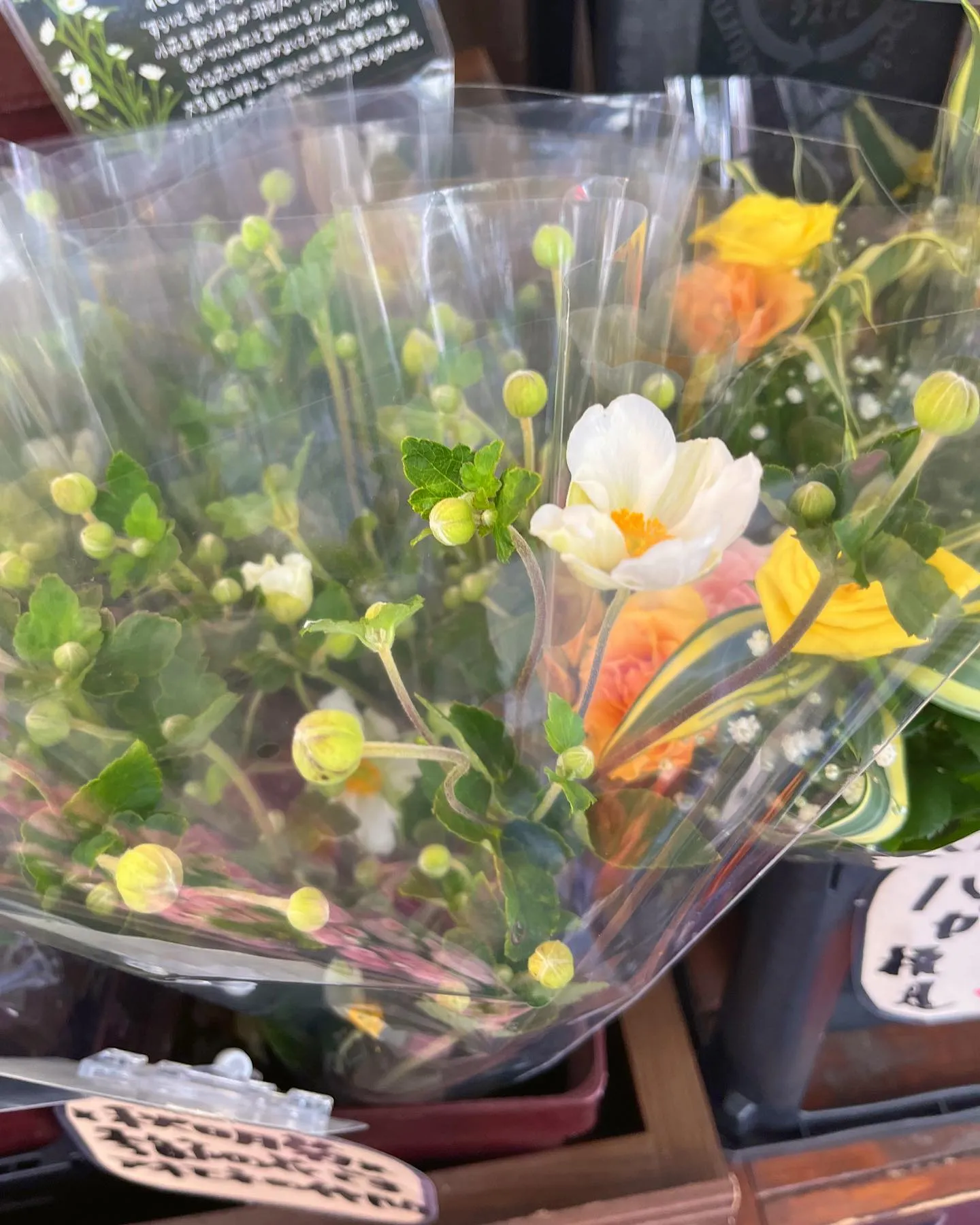 おはようございます😊