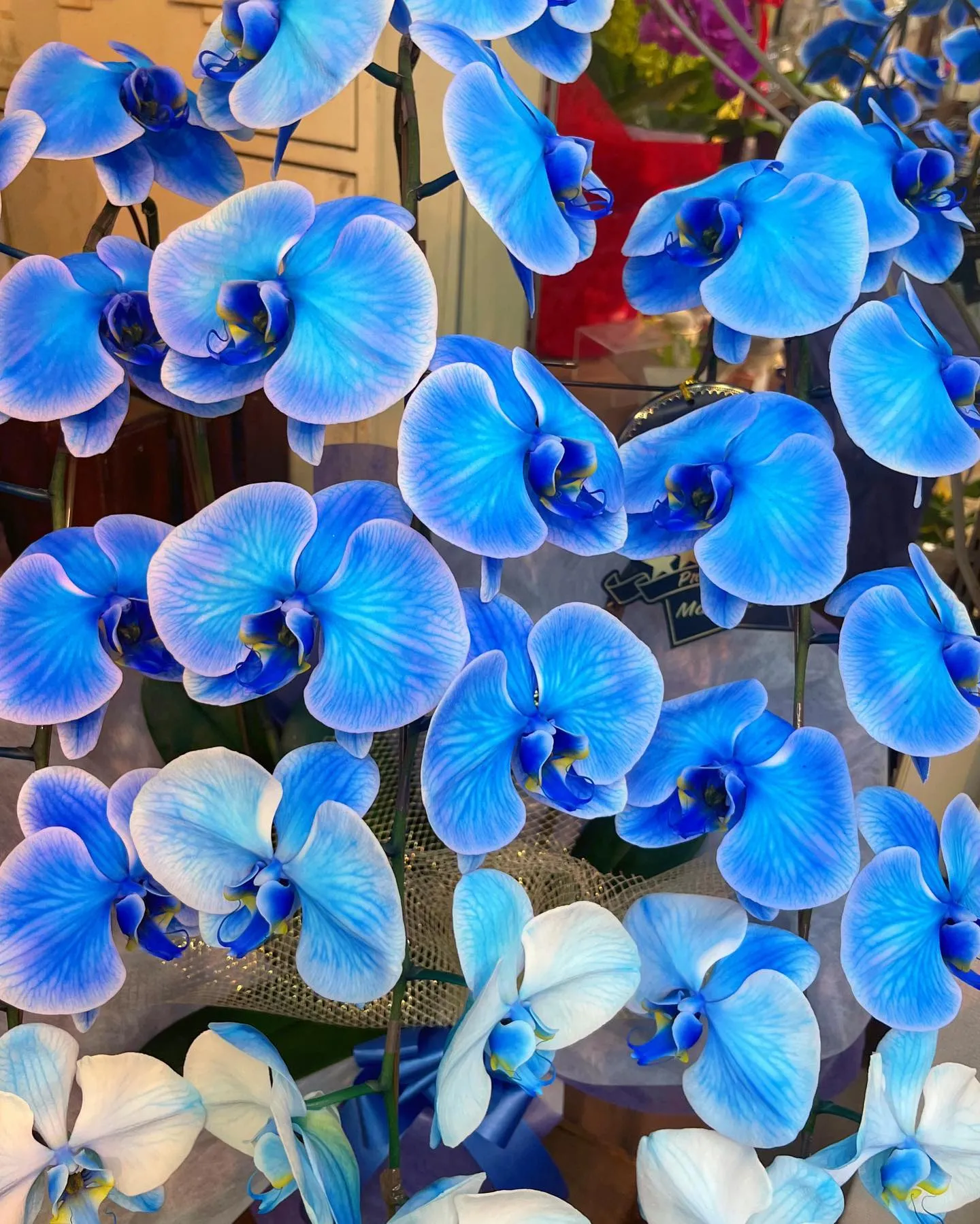 おはようございます😊