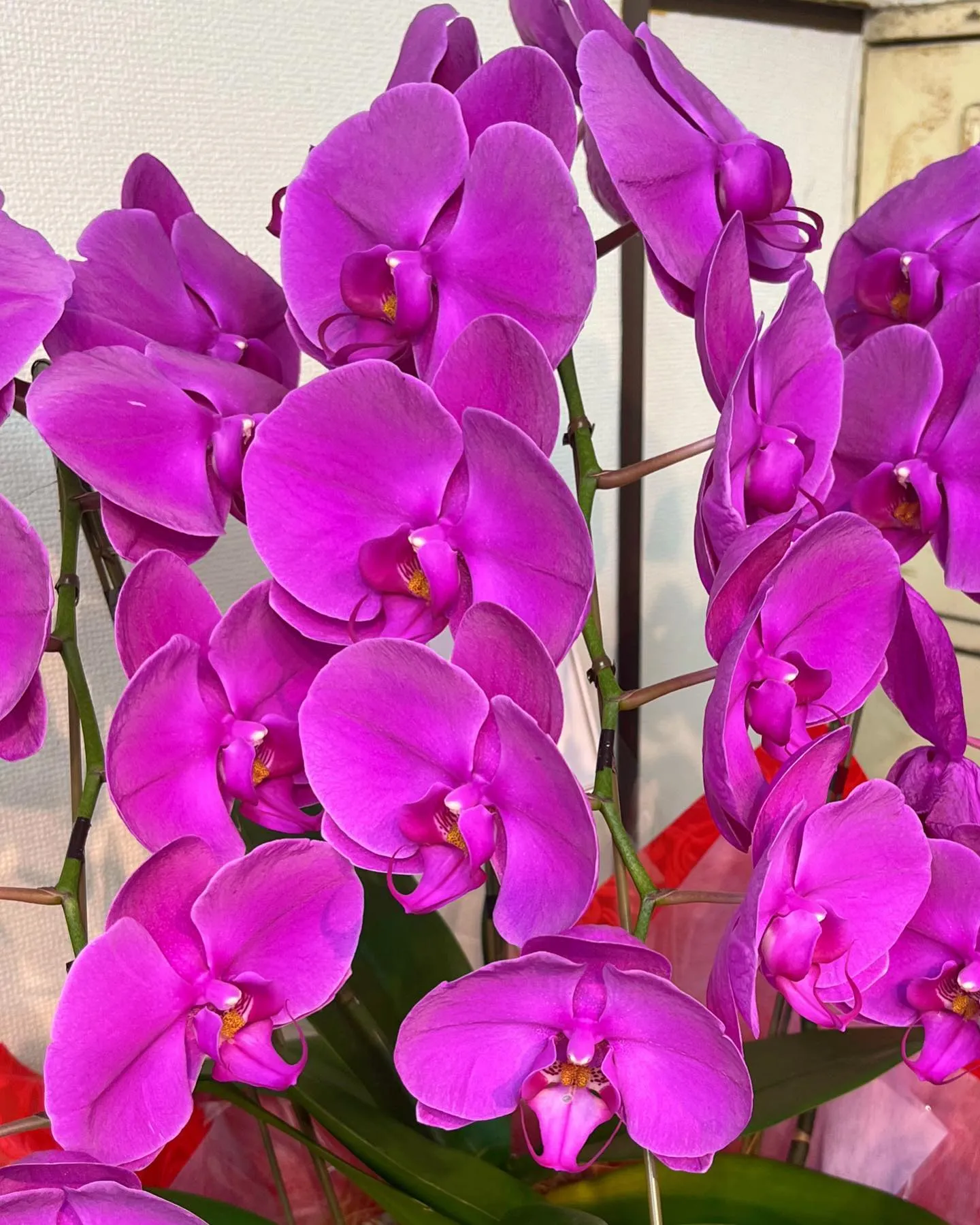 おはようございます😊